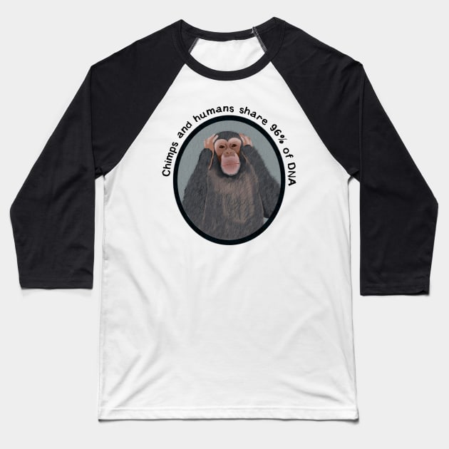 Chimps and Humans Baseball T-Shirt by ahadden